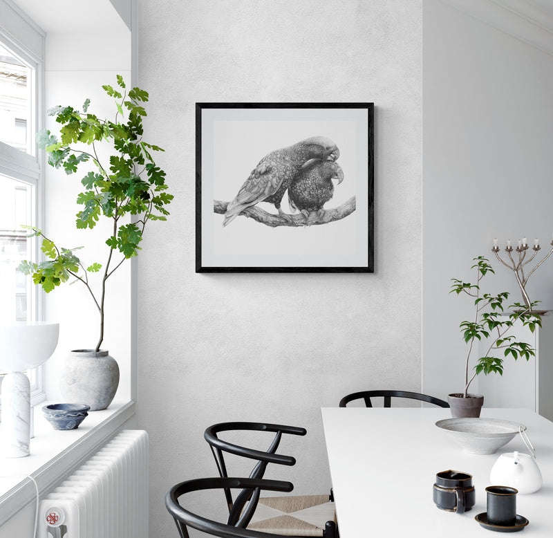 Manaaki Kākā (1/1)