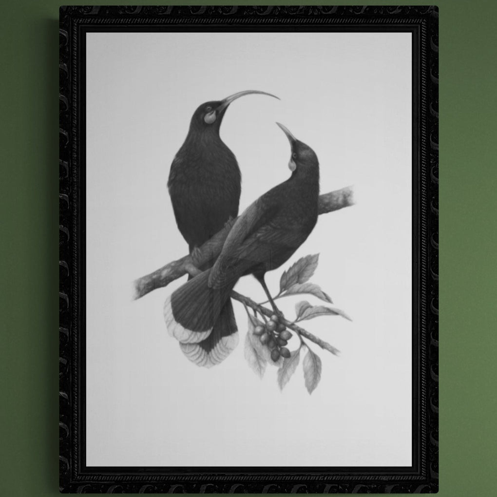 A Lost Harmony (Huia) - A3