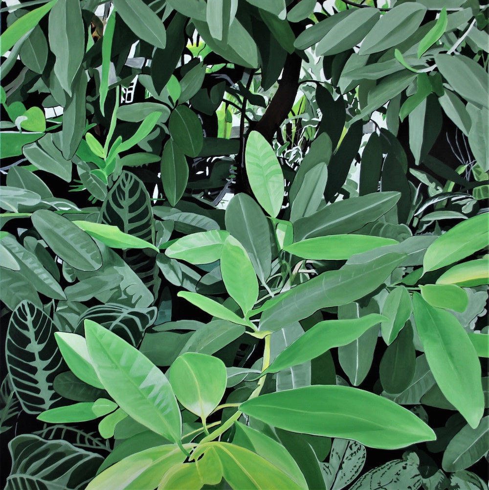 Botanic Leaves