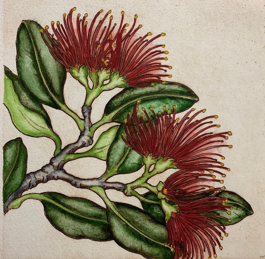 Pohutukawa Blossom III