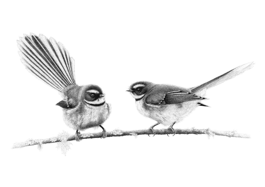 Tauawhi Piwakawaka (print - A4)