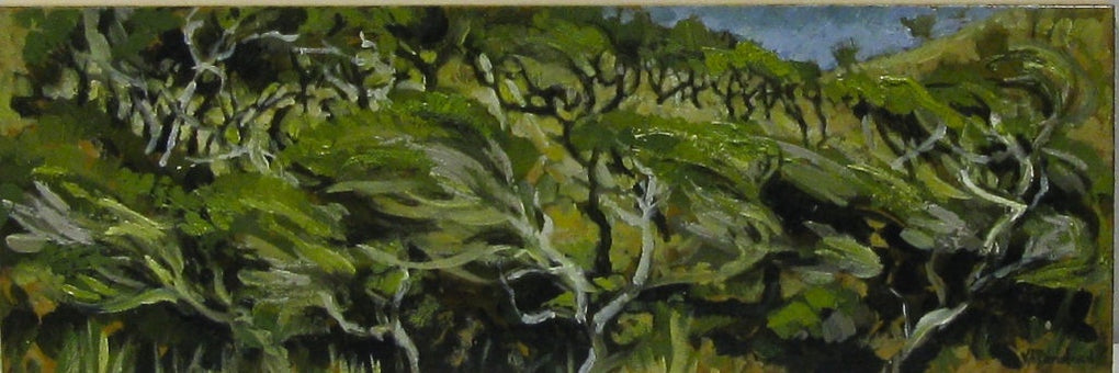 Coastal Manuka I (SOLD)