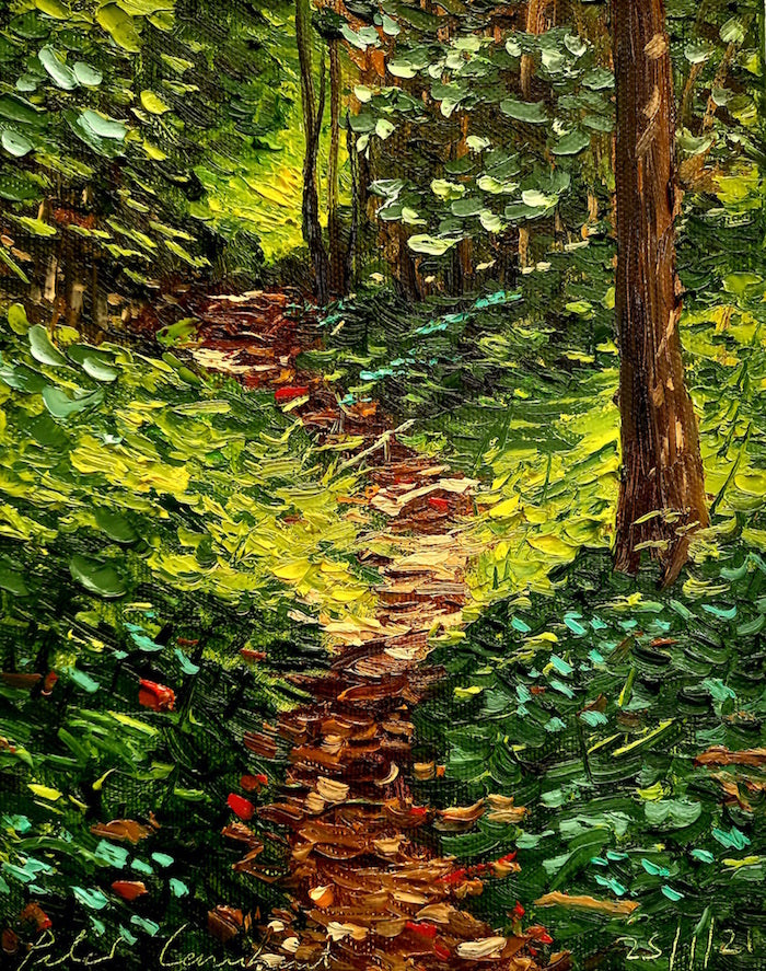 Bush Track 25/1/2021