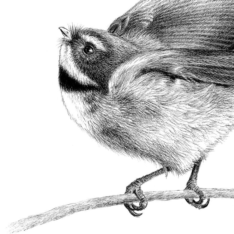 Take Flight (framed print)