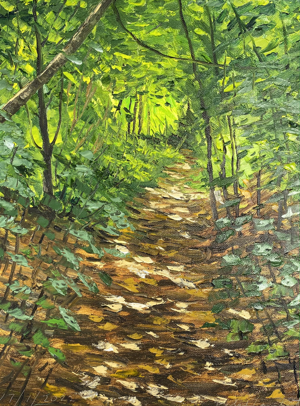 Bush Track 17/1/2022