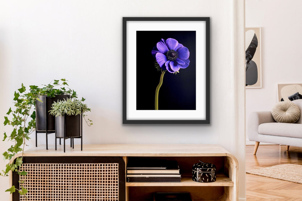 Winsome Wildflower (A3)