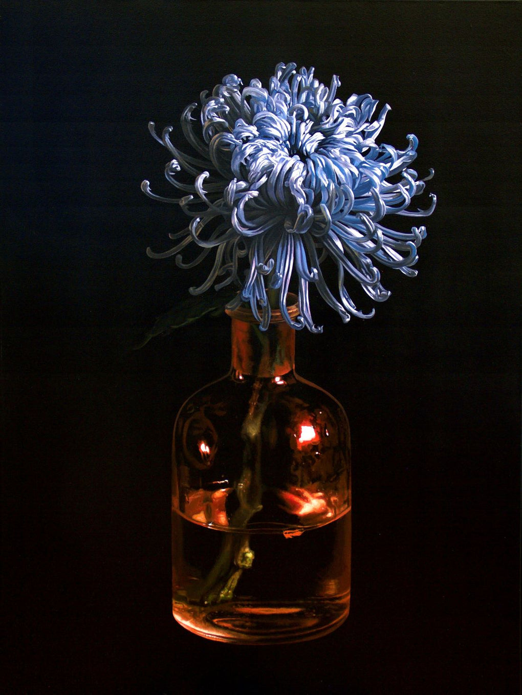 Chrysanthemum goes to the Oscars