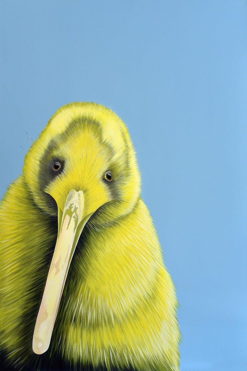 Yellow NZ Kiwi