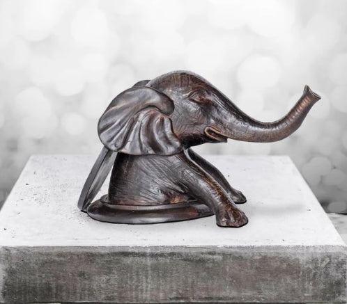 Elephant comes out into a better tomorrow