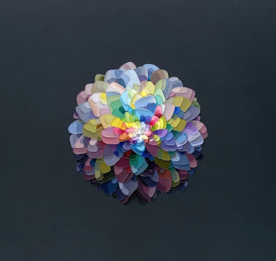 Black Flower Wheel - Framed