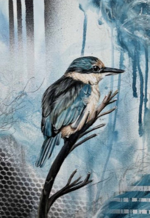 Kingfisher / Kōtare - A3