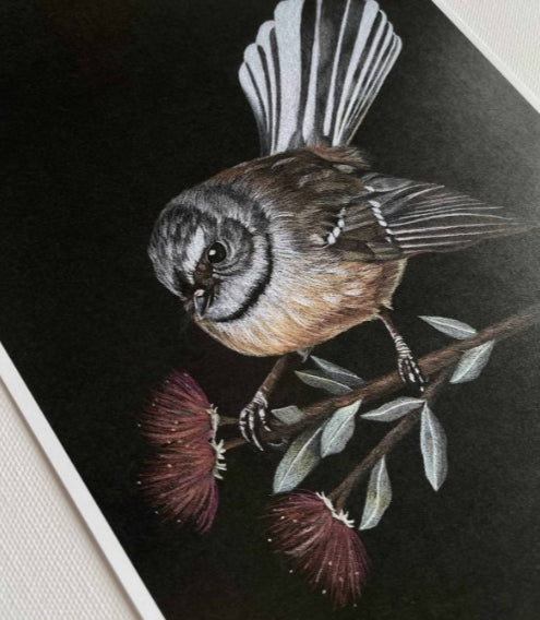 Native NZ Pīwakawaka - A3