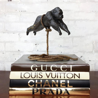 Flying Gorilla on Rope