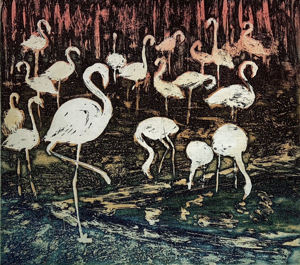 Flamingoes