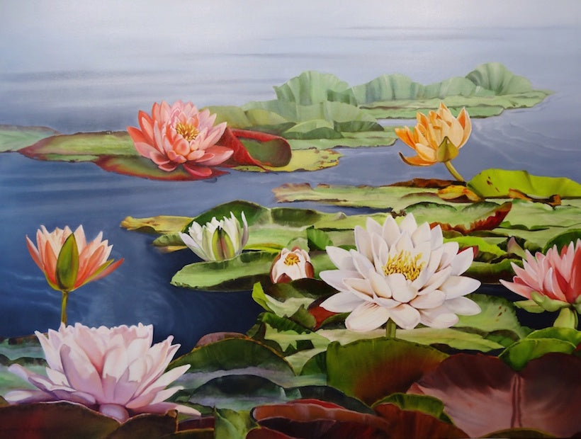 Water Lillies