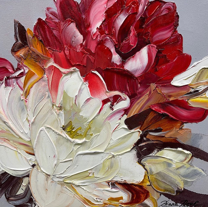 Splendid Mini Series 1