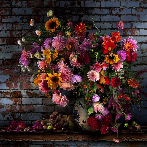 Dahlias and Chestnuts