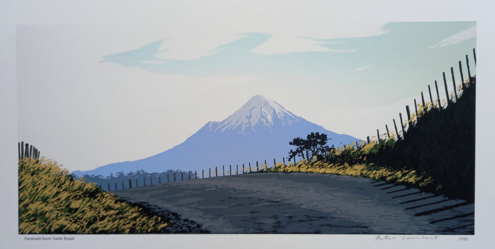 Taranaki from Tariki Road