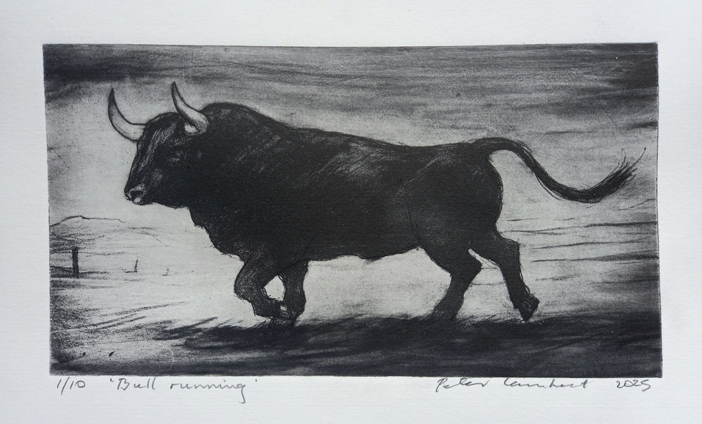 Bull Running