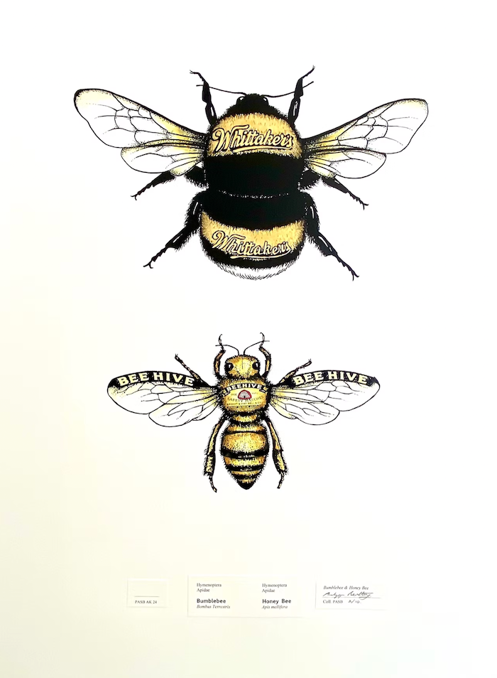 Bumblebee and Honey Bee