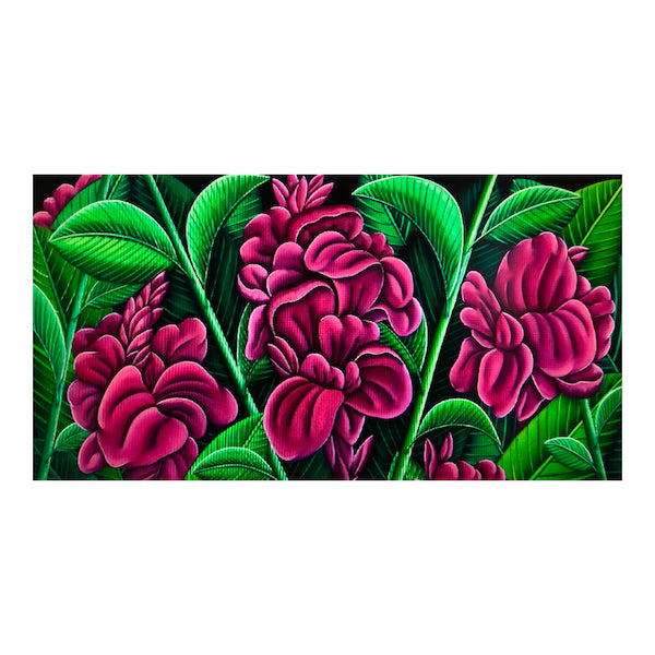 Canna Lillies