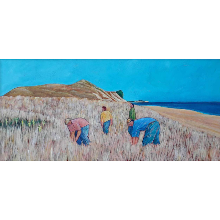 Coastal (Pukehina)