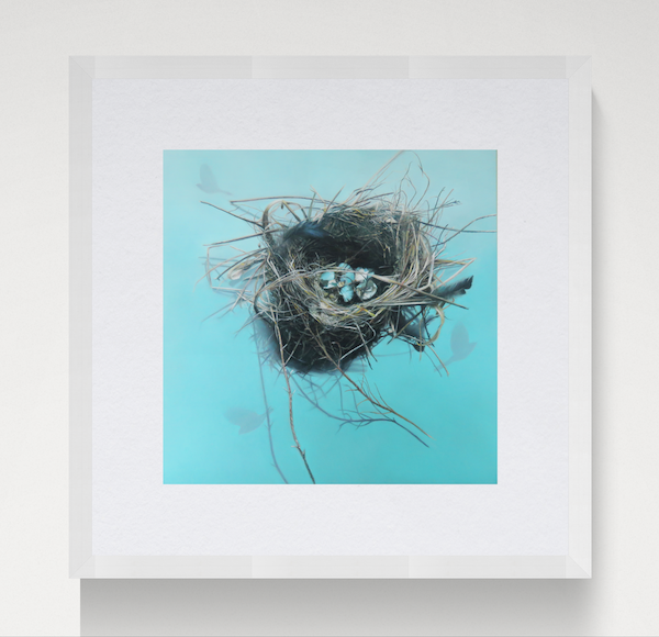 Empty Nest