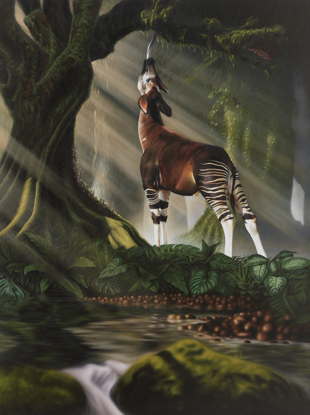 Glimpse of Eden (Okapi)