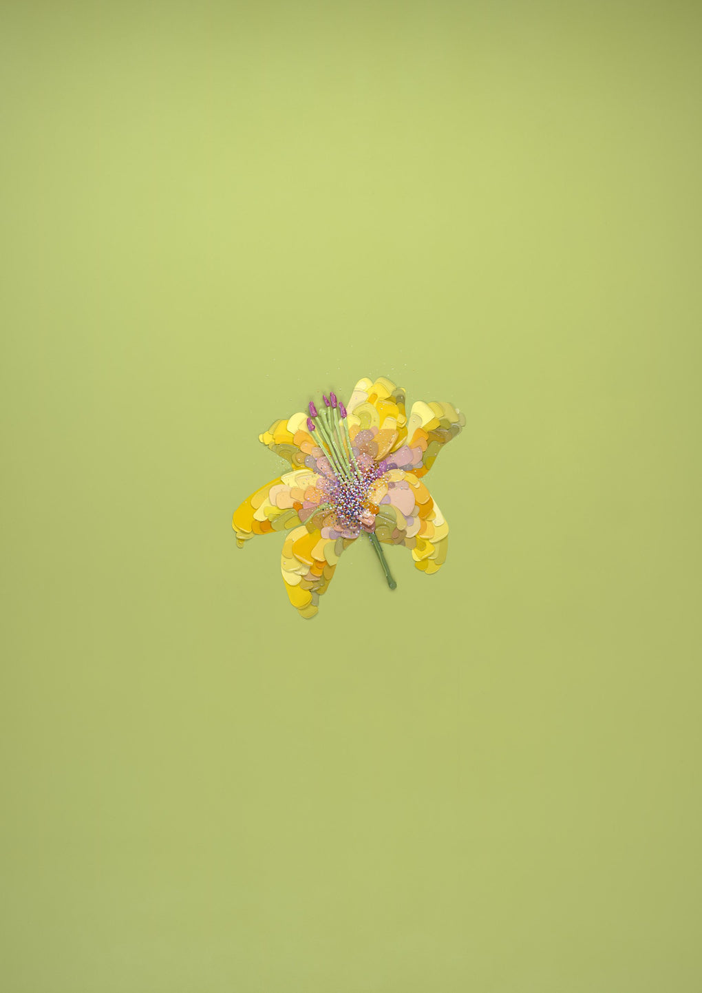 Green Lilium (framed print)