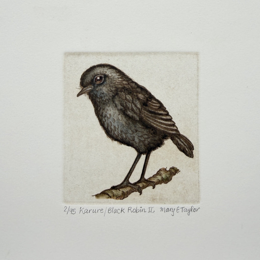 Karure/Black Robin II