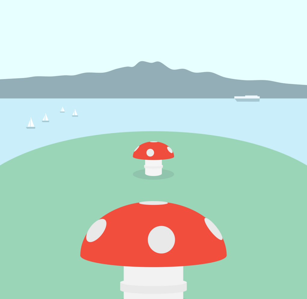 Mt Takarunga Mushrooms (sml)