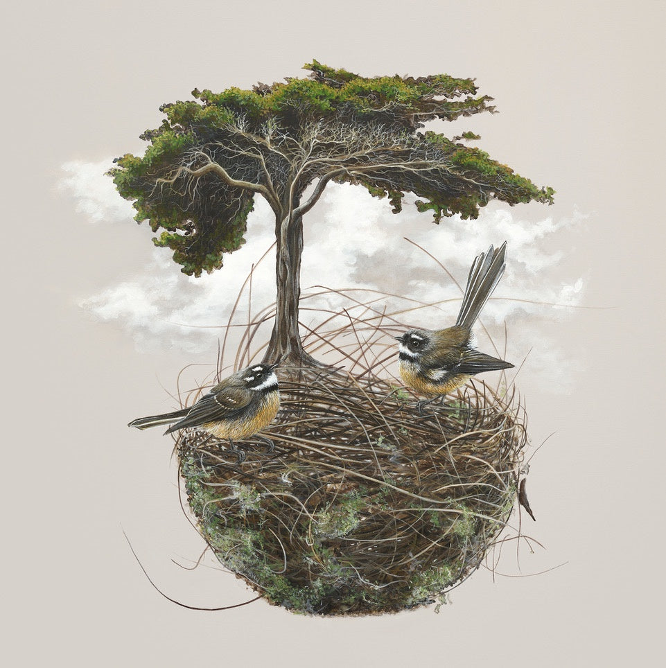 Nest 6/30