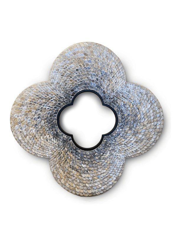 Natural Quatrefoilic Shell Bloom