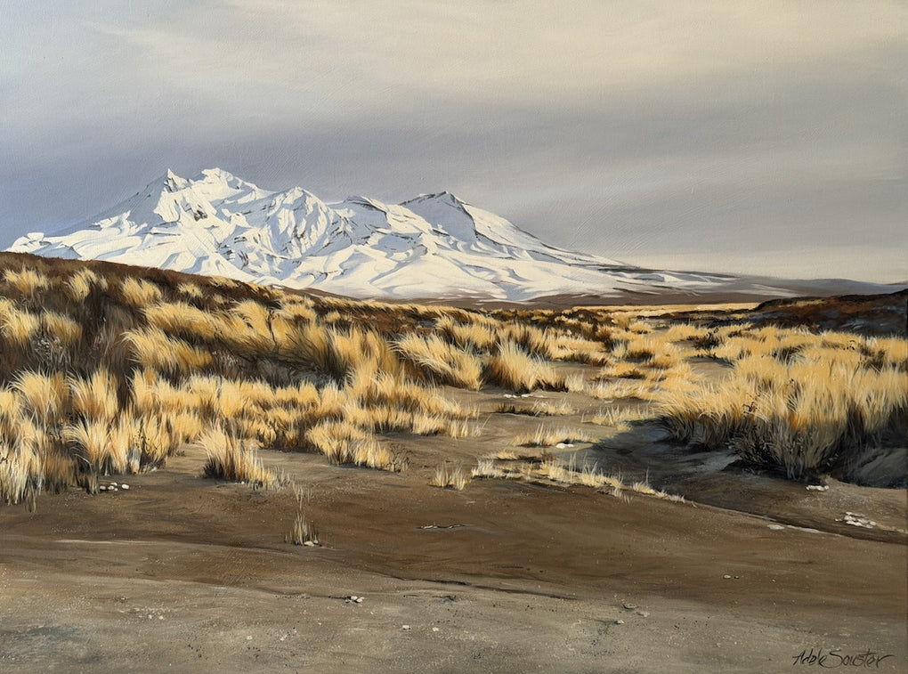 Spring Snow - Desert Road