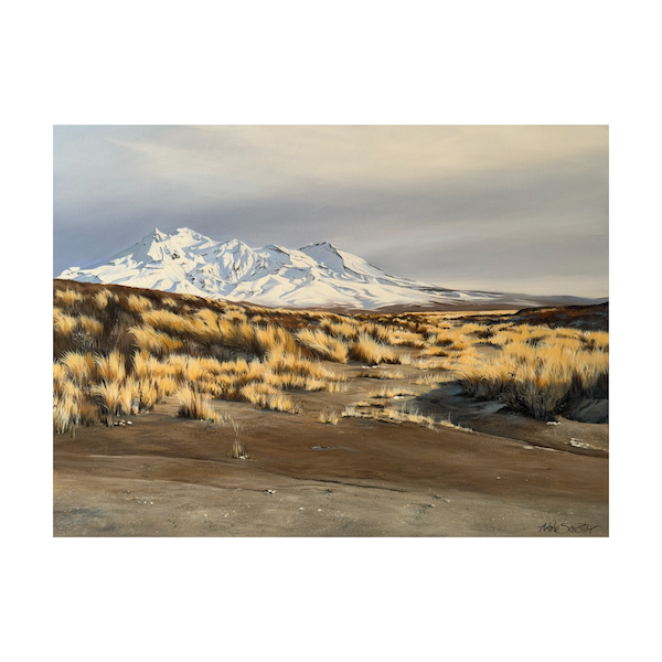 Spring Snow - Desert Road