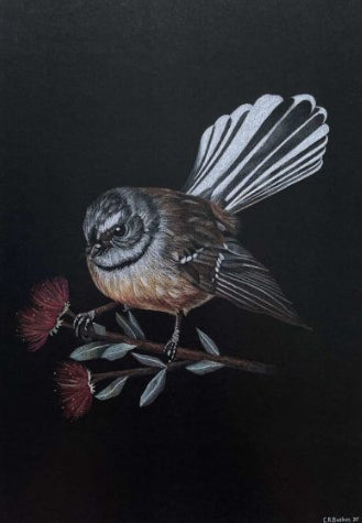 Native NZ Pīwakawaka - A3