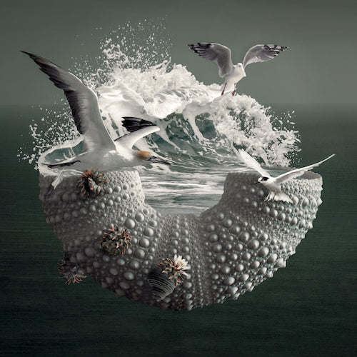 Shellsong