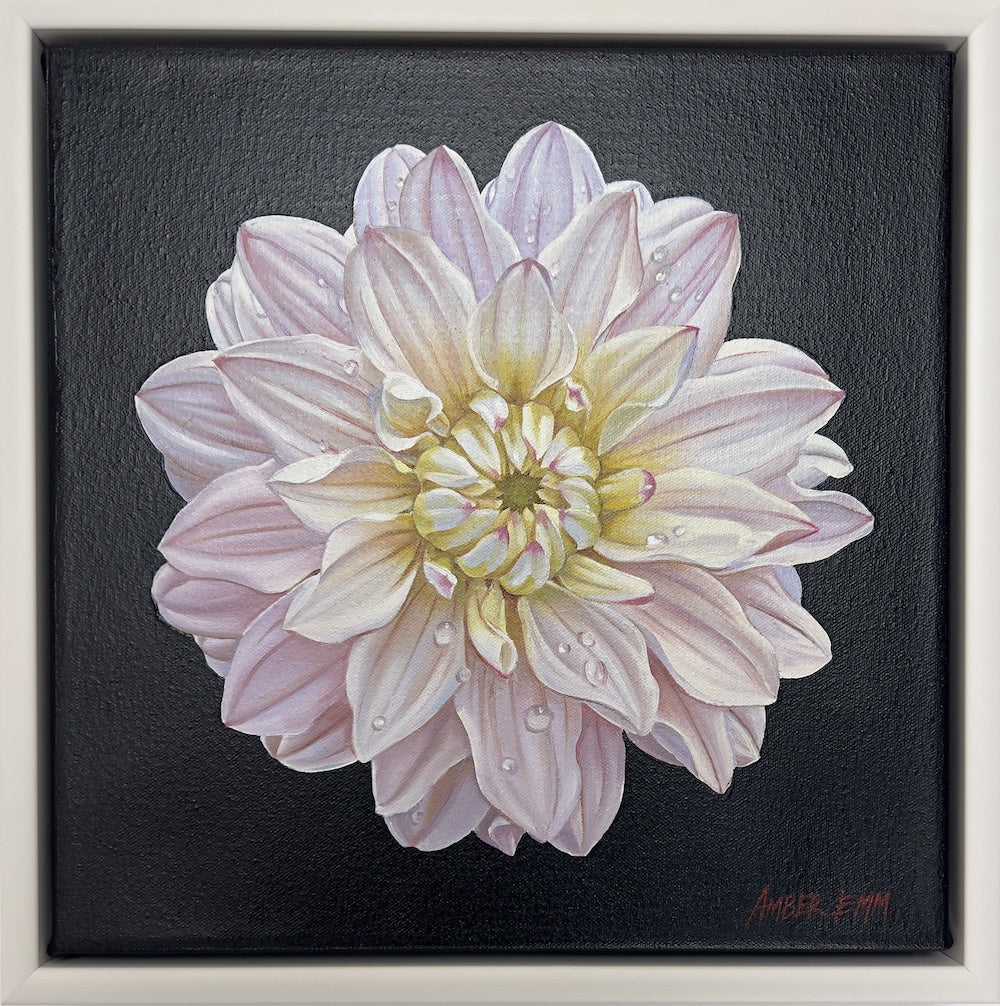 Silver Year Dahlia