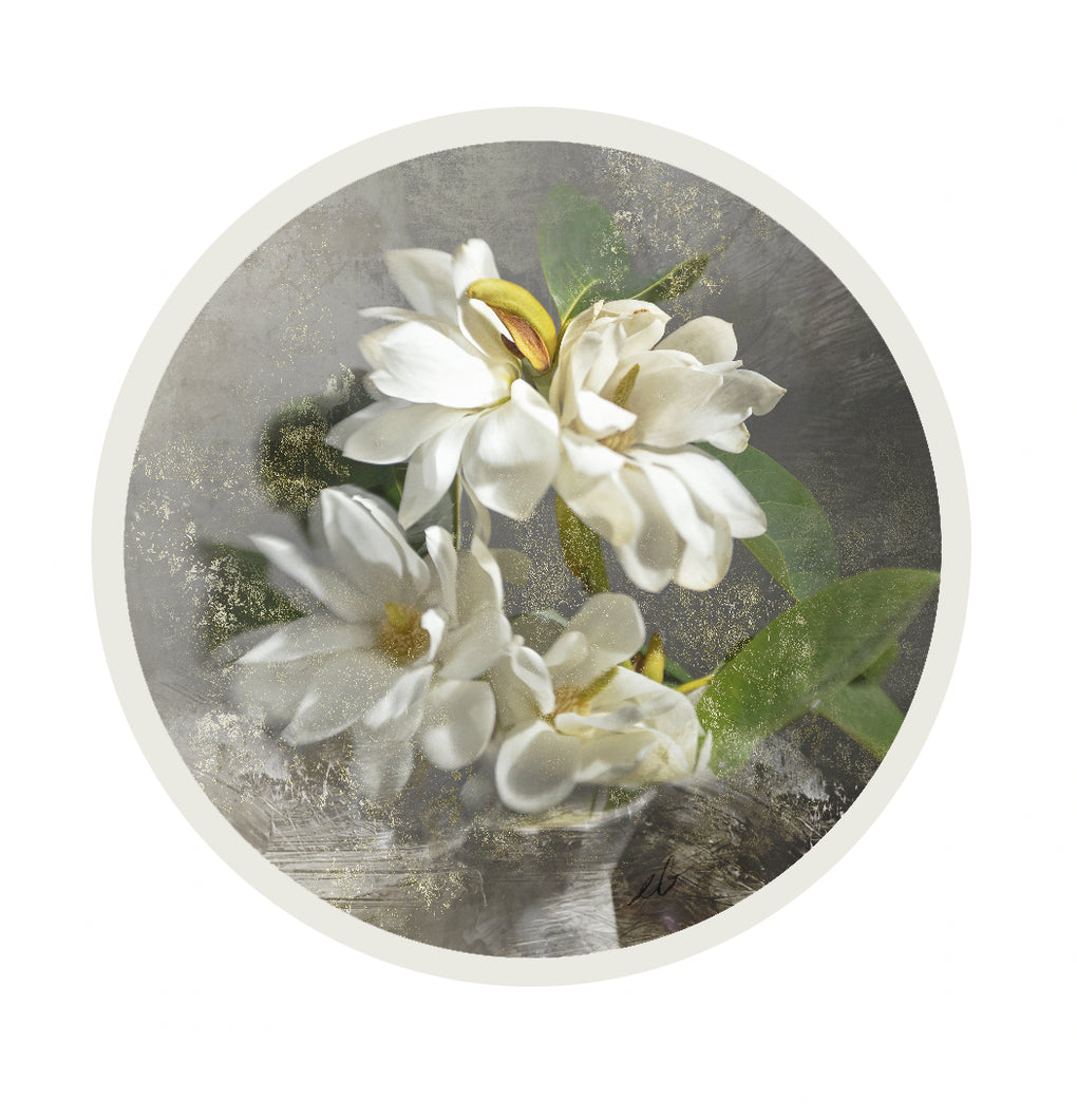 Study of Serenity