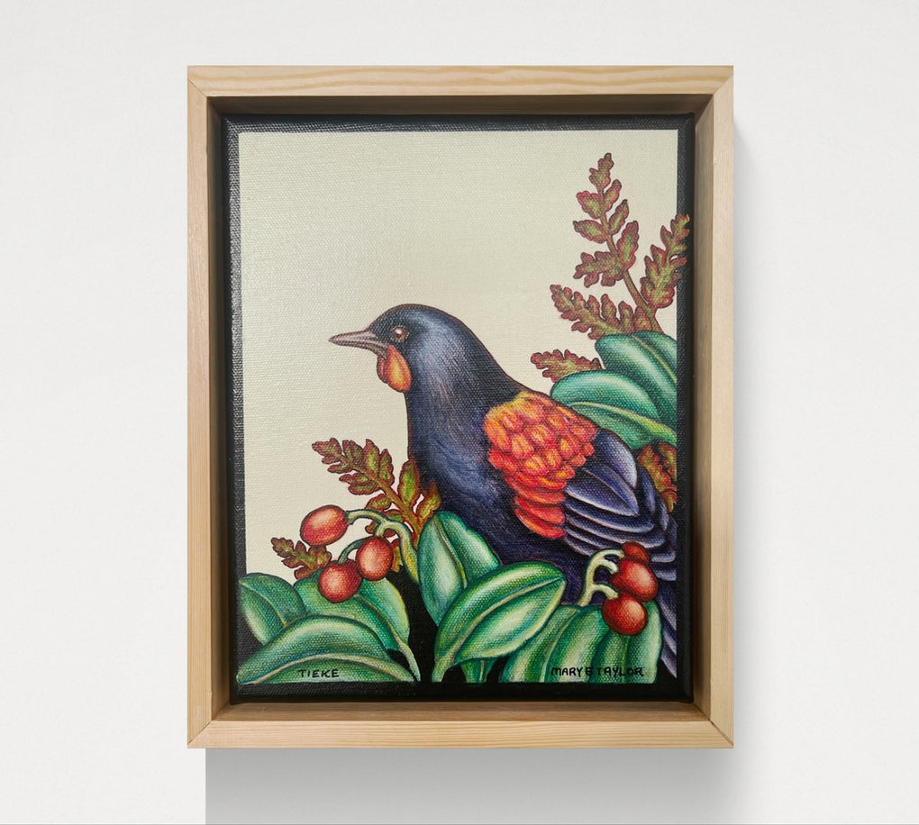 Tieke - Saddleback (original)