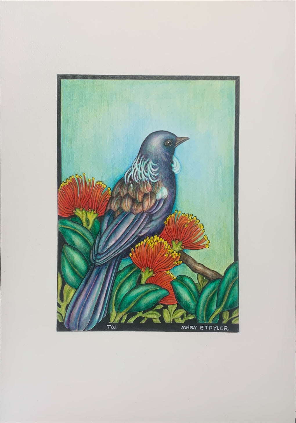 Tūī - original