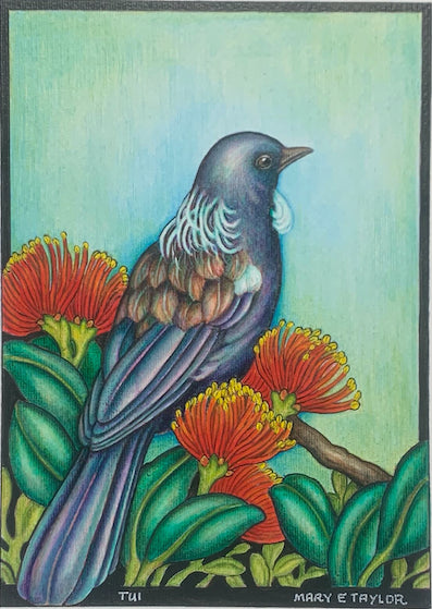 Tūī - original