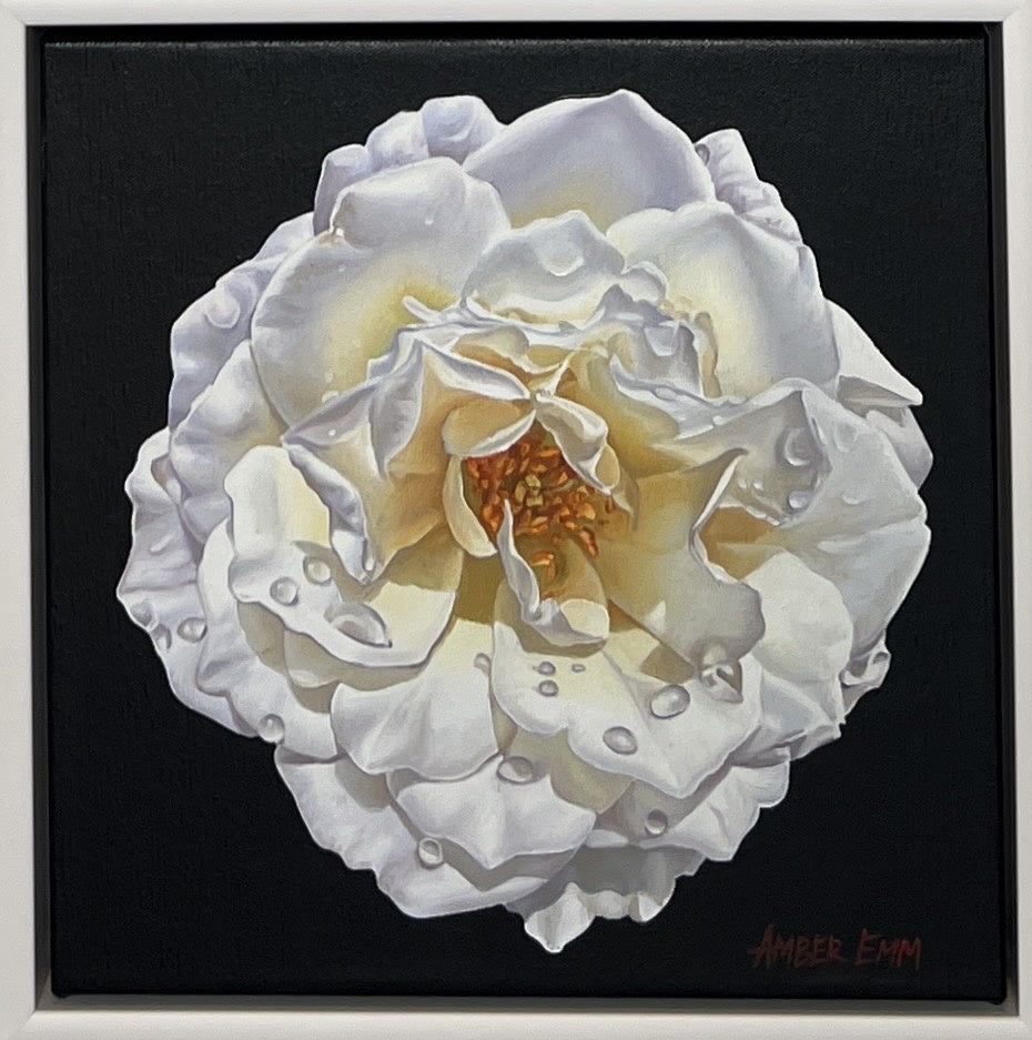 White Rose