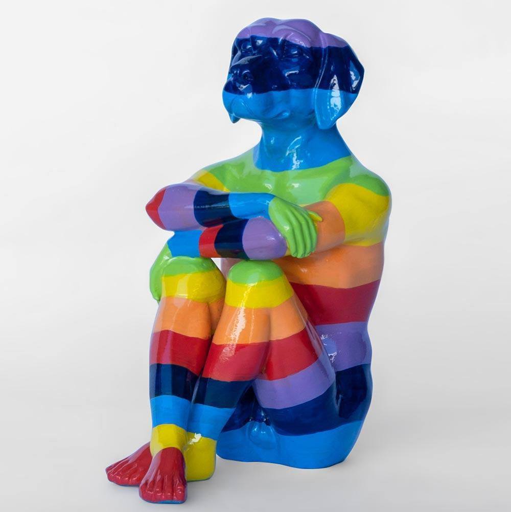 Rainbow Lost Pup