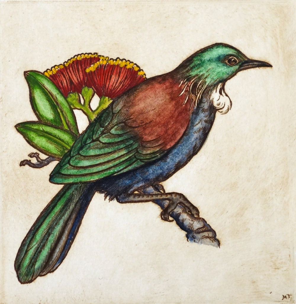 Tui II (with Pohutukawa)
