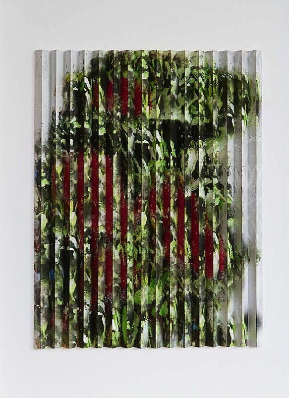 Pohutakawa 1