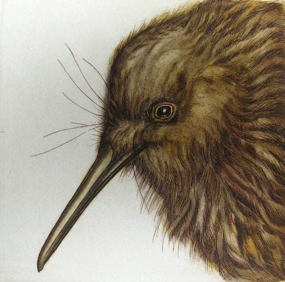 Kiwi Portrait
