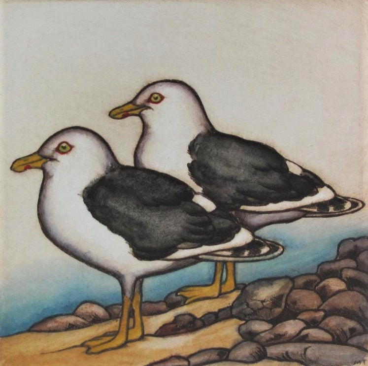 Black-backed Gulls