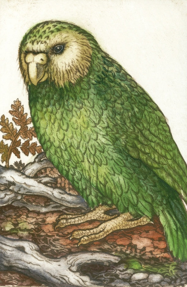 Lonely Kakapo