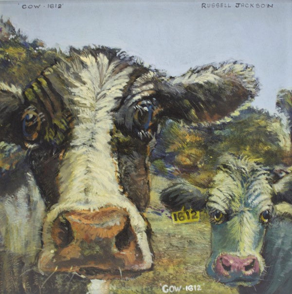 Cow 1612